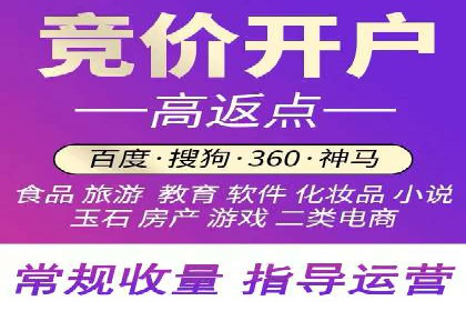 成功SEM推广竞价案例分享